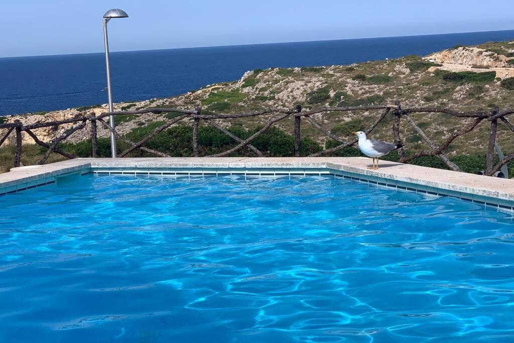 Apartamento A Estrenar Con Vistas Al Mar. Son Parc Bagian luar foto